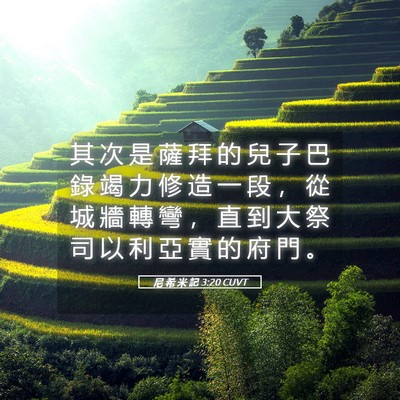 Picture 05 - 尼 希 米 記 3:20 CUVT - 其 次 是 薩 拜 的 兒 子 巴 錄 竭 力 - Bible Verse Picture