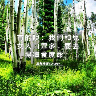 Picture 05 - 尼 希 米 記 5:2 CUVT - 有 的 說 ： 我 們 和 兒 女 人 口 眾 - Bible Verse Picture