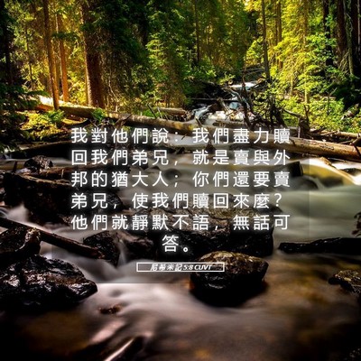 Picture 05 - 尼 希 米 記 5:8 CUVT - 我 對 他 們 說 ： 我 們 盡 力 贖 回 - Bible Verse Picture