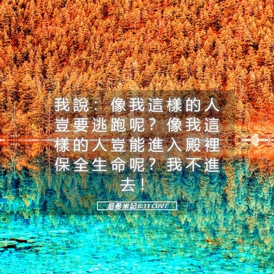 Picture 05 - 尼 希 米 記 6:11 CUVT - 我 說 ： 像 我 這 樣 的 人 豈 要 逃 - Bible Verse Picture