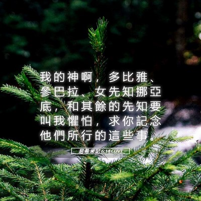 Picture 05 - 尼 希 米 記 6:14 CUVT - 我 的 神 啊 ， 多 比 雅 、 參 巴 拉 - Bible Verse Picture