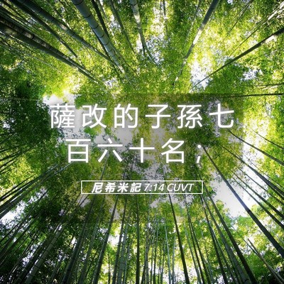 Picture 05 - 尼 希 米 記 7:14 CUVT - 薩 改 的 子 孫 七 百 六 十 名 - Bible Verse Picture