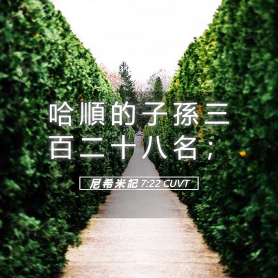 Picture 05 - 尼 希 米 記 7:22 CUVT - 哈 順 的 子 孫 三 百 二 十 八 名 - Bible Verse Picture
