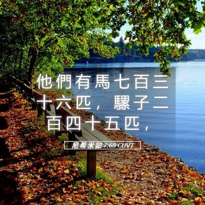 Picture 05 - 尼 希 米 記 7:68 CUVT - 他 們 有 馬 七 百 三 十 六 匹 ， 騾 - Bible Verse Picture