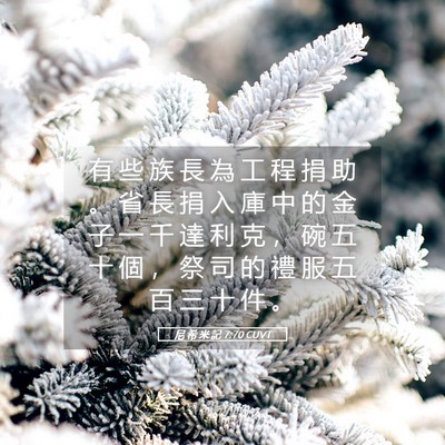 Picture 05 - 尼 希 米 記 7:70 CUVT - 有 些 族 長 為 工 程 捐 助 。 省 長 - Bible Verse Picture