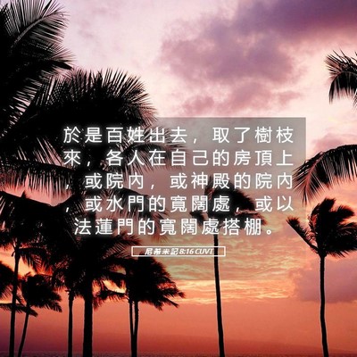 Picture 05 - 尼 希 米 記 8:16 CUVT - 於 是 百 姓 出 去 ， 取 了 樹 枝 來 - Bible Verse Picture