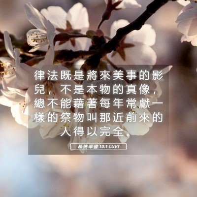 Picture 05 - 希 伯 來 書 10:1 CUVT - 律 法 既 是 將 來 美 事 的 影 兒 ， - Bible Verse Picture
