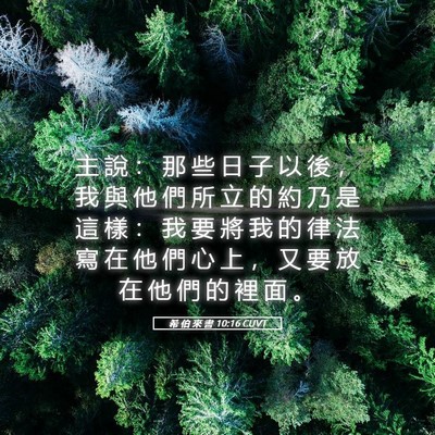 Picture 05 - 希 伯 來 書 10:16 CUVT - 主 說 ： 那 些 日 子 以 後 ， 我 與 - Bible Verse Picture