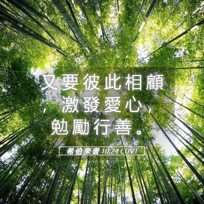 Picture 05 - 希 伯 來 書 10:24 CUVT - 又 要 彼 此 相 顧 ， 激 發 愛 心 ， - Bible Verse Picture