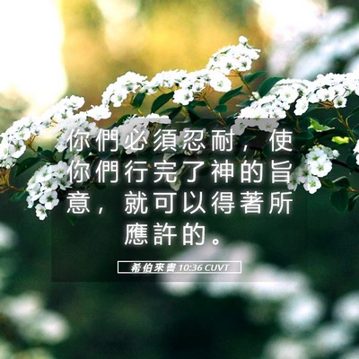 Picture 05 - 希 伯 來 書 10:36 CUVT - 你 們 必 須 忍 耐 ， 使 你 們 行 完 - Bible Verse Picture