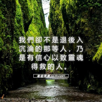 Picture 05 - 希 伯 來 書 10:39 CUVT - 我 們 卻 不 是 退 後 入 沉 淪 的 那 - Bible Verse Picture