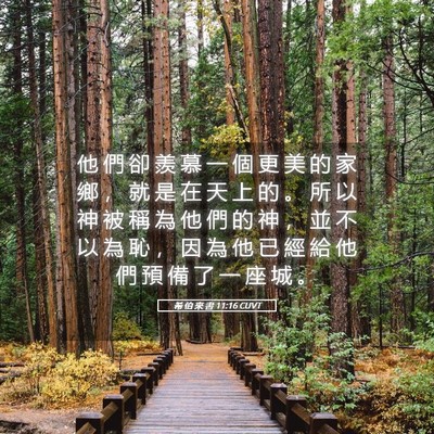 Picture 05 - 希 伯 來 書 11:16 CUVT - 他 們 卻 羨 慕 一 個 更 美 的 家 鄉 - Bible Verse Picture