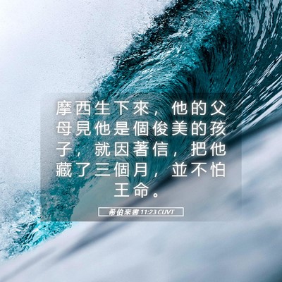 Picture 05 - 希 伯 來 書 11:23 CUVT - 摩 西 生 下 來 ， 他 的 父 母 見 他 - Bible Verse Picture