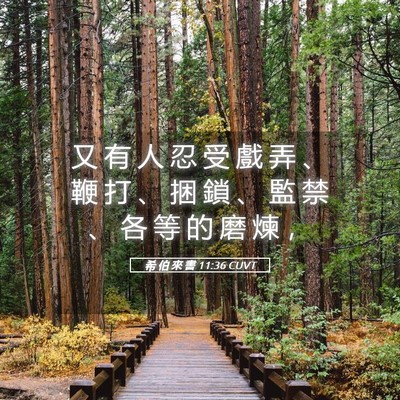 Picture 05 - 希 伯 來 書 11:36 CUVT - 又 有 人 忍 受 戲 弄 、 鞭 打 、 捆 - Bible Verse Picture