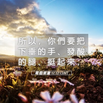 Picture 05 - 希 伯 來 書 12:12 CUVT - 所 以 ， 你 們 要 把 下 垂 的 手 、 - Bible Verse Picture