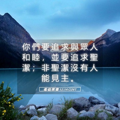 Picture 05 - 希 伯 來 書 12:14 CUVT - 你 們 要 追 求 與 眾 人 和 睦 ， 並 - Bible Verse Picture