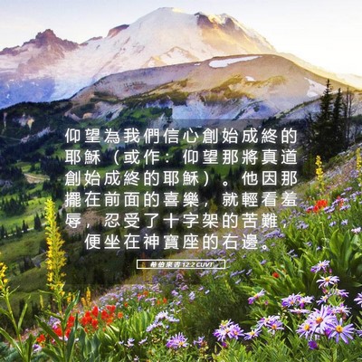 Picture 05 - 希 伯 來 書 12:2 CUVT - 仰 望 為 我 們 信 心 創 始 成 終 的 - Bible Verse Picture