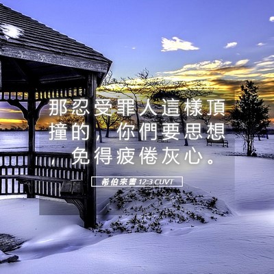 Picture 05 - 希 伯 來 書 12:3 CUVT - 那 忍 受 罪 人 這 樣 頂 撞 的 ， 你 - Bible Verse Picture