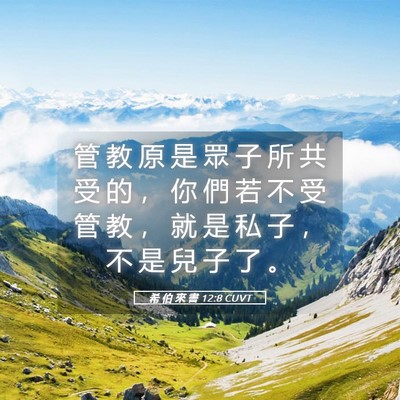 Picture 05 - 希 伯 來 書 12:8 CUVT - 管 教 原 是 眾 子 所 共 受 的 ， 你 - Bible Verse Picture