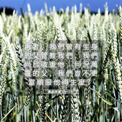 Picture 05 - 希 伯 來 書 12:9 CUVT - 再 者 ， 我 們 曾 有 生 身 的 父 管 - Bible Verse Picture