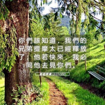 Picture 05 - 希 伯 來 書 13:23 CUVT - 你 們 該 知 道 ， 我 們 的 兄 弟 提 - Bible Verse Picture