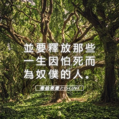Picture 05 - 希 伯 來 書 2:15 CUVT - 並 要 釋 放 那 些 一 生 因 怕 死 而 - Bible Verse Picture