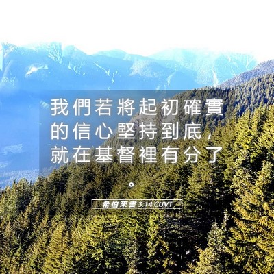 Picture 05 - 希 伯 來 書 3:14 CUVT - 我 們 若 將 起 初 確 實 的 信 心 堅 - Bible Verse Picture