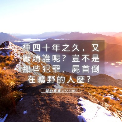 Picture 05 - 希 伯 來 書 3:17 CUVT - 神 四 十 年 之 久 ， 又 厭 煩 誰 呢 - Bible Verse Picture
