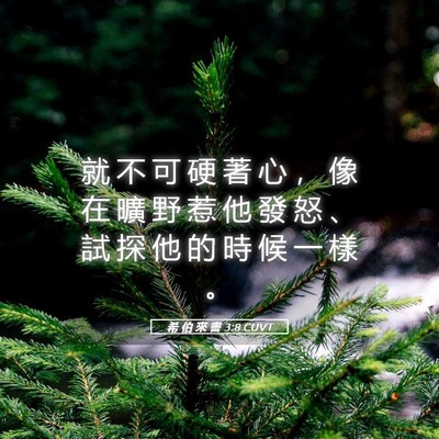 Picture 05 - 希 伯 來 書 3:8 CUVT - 就 不 可 硬 著 心 ， 像 在 曠 野 惹 - Bible Verse Picture