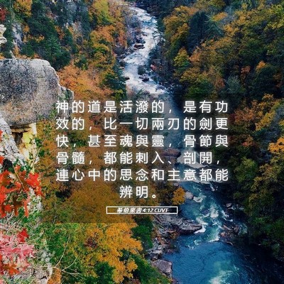 Picture 05 - 希 伯 來 書 4:12 CUVT - 神 的 道 是 活 潑 的 ， 是 有 功 效 - Bible Verse Picture