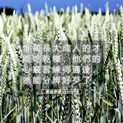 Picture 05 - 希 伯 來 書 5:14 CUVT - 惟 獨 長 大 成 人 的 才 能 吃 乾 糧 - Bible Verse Picture