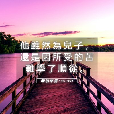 Picture 05 - 希 伯 來 書 5:8 CUVT - 他 雖 然 為 兒 子 ， 還 是 因 所 受 - Bible Verse Picture