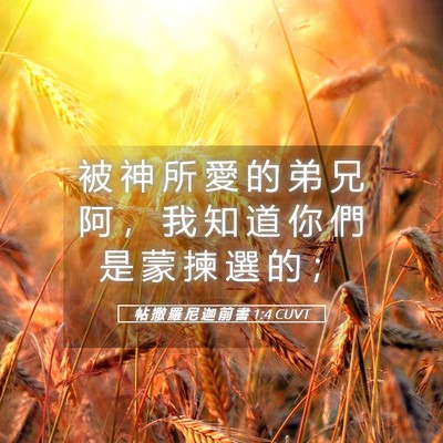 Picture 05 - 帖 撒 羅 尼 迦 前 書 1:4 CUVT - 被 神 所 愛 的 弟 兄 阿 ， 我 知 道 - Bible Verse Picture
