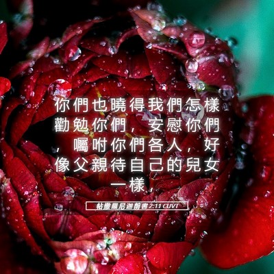 Picture 05 - 帖 撒 羅 尼 迦 前 書 2:11 CUVT - 你 們 也 曉 得 我 們 怎 樣 勸 勉 你 - Bible Verse Picture