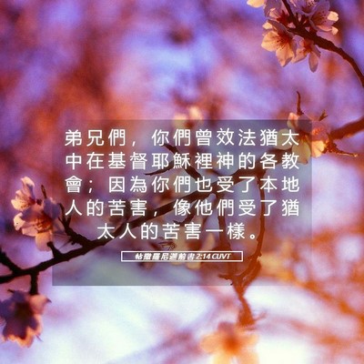 Picture 05 - 帖 撒 羅 尼 迦 前 書 2:14 CUVT - 弟 兄 們 ， 你 們 曾 效 法 猶 太 中 - Bible Verse Picture