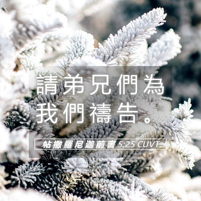 Picture 05 - 帖 撒 羅 尼 迦 前 書 5:25 CUVT - 請 弟 兄 們 為 我 們 禱 告 - Bible Verse Picture