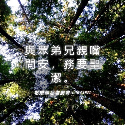 Picture 05 - 帖 撒 羅 尼 迦 前 書 5:26 CUVT - 與 眾 弟 兄 親 嘴 問 安 ， 務 要 聖 - Bible Verse Picture