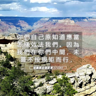 Picture 05 - 帖 撒 羅 尼 迦 後 書 3:7 CUVT - 你 們 自 己 原 知 道 應 當 怎 樣 效 - Bible Verse Picture