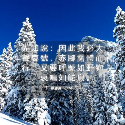 Picture 05 - 彌 迦 書 1:8 CUVT - 先 知 說 ： 因 此 我 必 大 聲 哀 號 - Bible Verse Picture