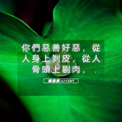 Picture 05 - 彌 迦 書 3:2 CUVT - 你 們 惡 善 好 惡 ， 從 人 身 上 剝 - Bible Verse Picture