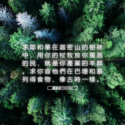 Picture 05 - 彌 迦 書 7:14 CUVT - 求 耶 和 華 在 迦 密 山 的 樹 林 中 - Bible Verse Picture