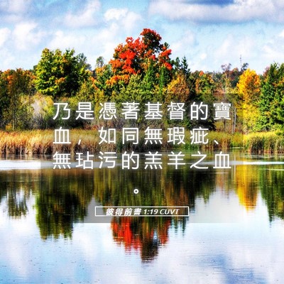 Picture 05 - 彼 得 前 書 1:19 CUVT - 乃 是 憑 著 基 督 的 寶 血 ， 如 同 - Bible Verse Picture
