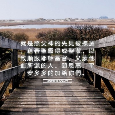Picture 05 - 彼 得 前 書 1:2 CUVT - 就 是 照 父 神 的 先 見 被 揀 選 ， - Bible Verse Picture
