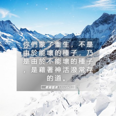 Picture 05 - 彼 得 前 書 1:23 CUVT - 你 們 蒙 了 重 生 ， 不 是 由 於 能 - Bible Verse Picture