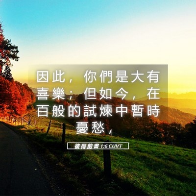 Picture 05 - 彼 得 前 書 1:6 CUVT - 因 此 ， 你 們 是 大 有 喜 樂 ； 但 - Bible Verse Picture
