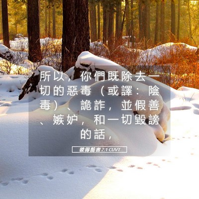 Picture 05 - 彼 得 前 書 2:1 CUVT - 所 以 ， 你 們 既 除 去 一 切 的 惡 - Bible Verse Picture