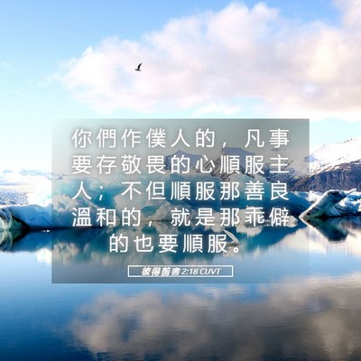 Picture 05 - 彼 得 前 書 2:18 CUVT - 你 們 作 僕 人 的 ， 凡 事 要 存 敬 - Bible Verse Picture