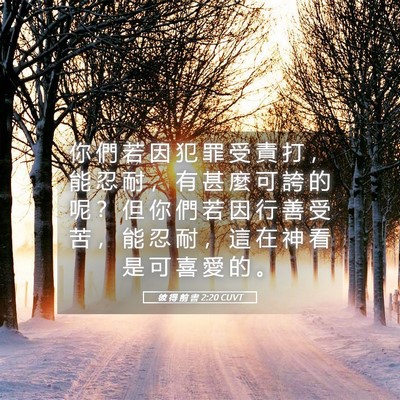 Picture 05 - 彼 得 前 書 2:20 CUVT - 你 們 若 因 犯 罪 受 責 打 ， 能 忍 - Bible Verse Picture