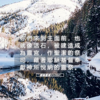 Picture 05 - 彼 得 前 書 2:5 CUVT - 你 們 來 到 主 面 前 ， 也 就 像 活 - Bible Verse Picture