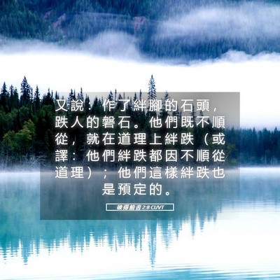 Picture 05 - 彼 得 前 書 2:8 CUVT - 又 說 ： 作 了 絆 腳 的 石 頭 ， 跌 - Bible Verse Picture